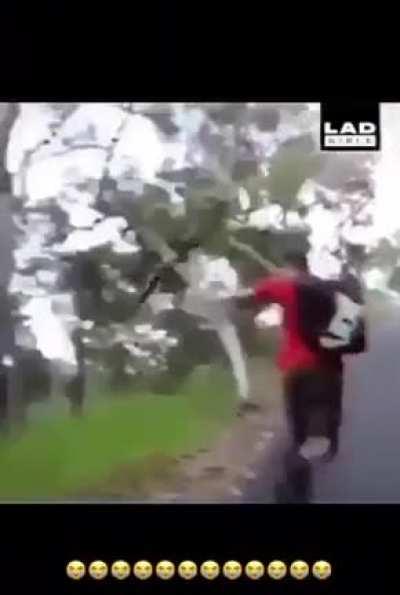 Self knockout💀😭