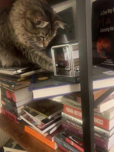 He will conduct experiments on the conservation of momentum