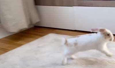 I could watch him do this all day