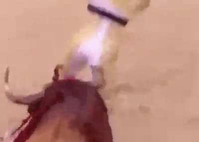 Torero’s ass will never be the same