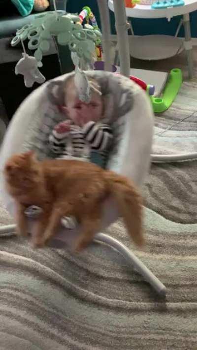 Babysitter kitty!