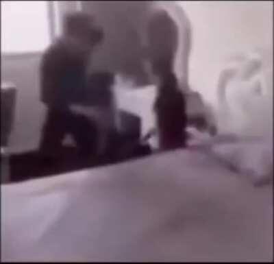 Omg besties new Roachmi skin for Cuumi just got leaked 😍😍