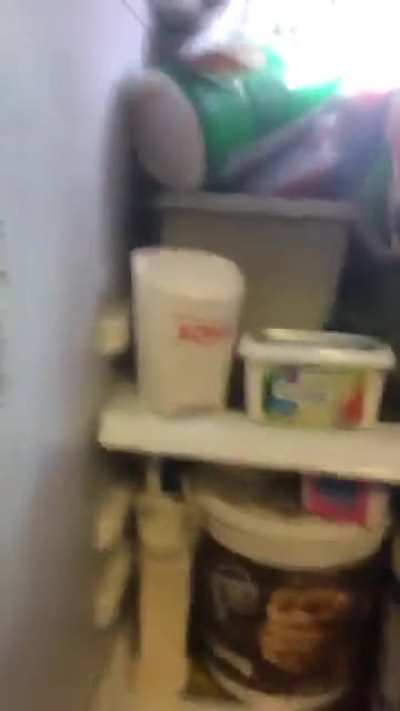 Something my brothers did