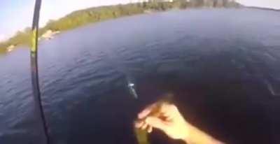 Fisherman couldn’t expect this!