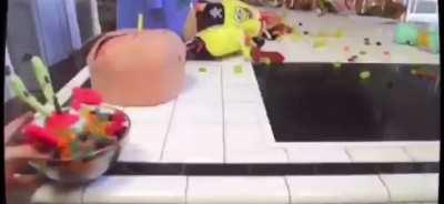 Have a bowl mr squidward