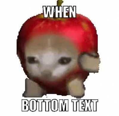 me when meee when youur mee when your meee