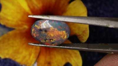 Fiery little black opal