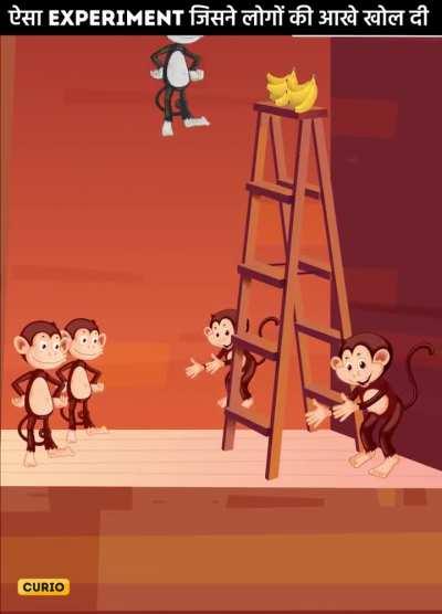 goofy animation but he sums it up