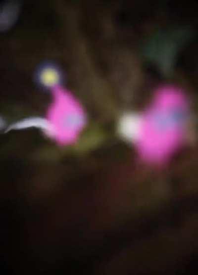 Pure and innocent, nature is beautiful