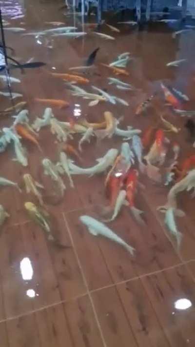 Инвентарь тоже входит в меню?