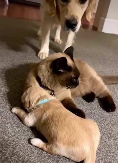 When The Only Available Babysitter Is Your Sketchy Best Friend