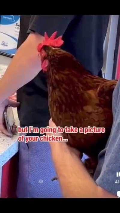 BYOC.. bring your own chick