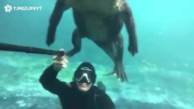 Hey Bro! You wanna take a selfie?