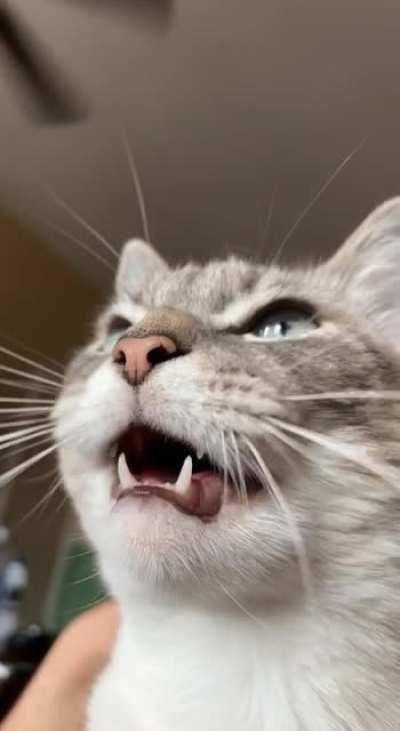 I call this piece “Bird in the Window.”