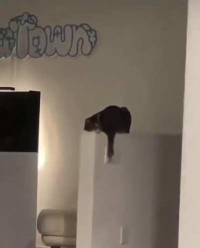 It looks like a personal revenge.