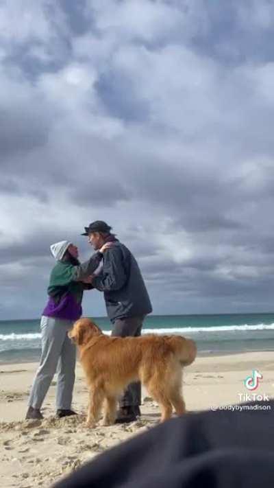 Dog gets zoomies when man proposes to girlfriend