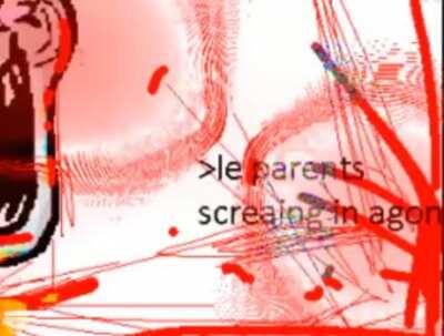 I cannot believe a bidet stole the election