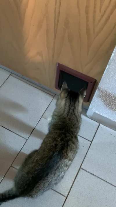 he does it at night too… 🙃