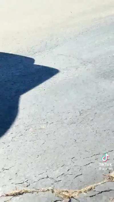 Racist mother attacks and threatens to call ICE on woman in front of her own daughter