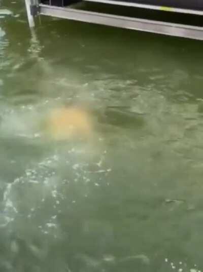 🤞🤞🤞#KinArmy