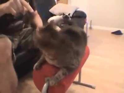 No idea why I think this is funny