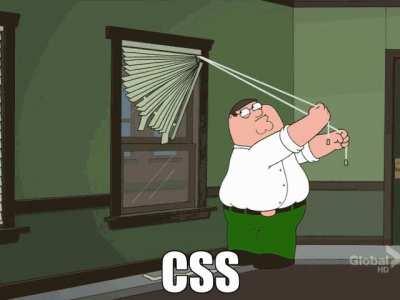 CSS