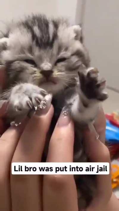 Crimes against humanity