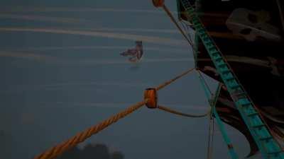 ONE IN A MILLION WTFFF