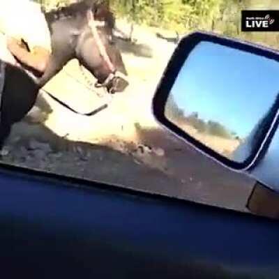 The robot is green. You can go