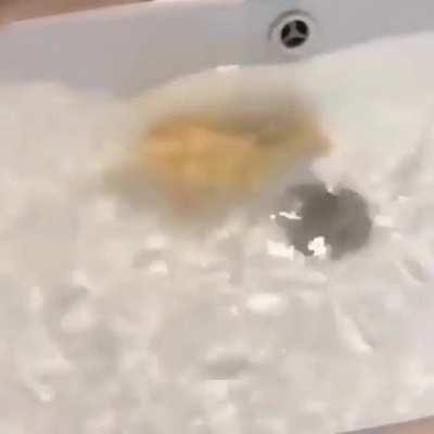 Swimming in a small indoor pond