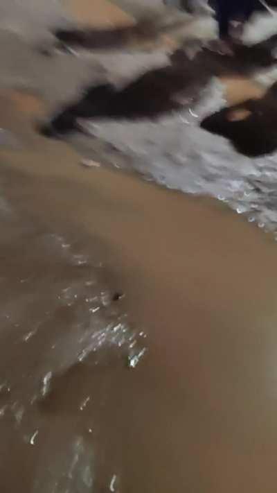 Agarwal hospital ke samne ka Kalesh.