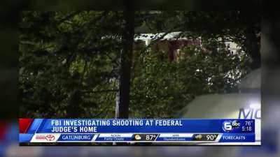 Compilation: Political Violence on the Right DOES exist... who would have thought?