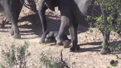 Babies and adults are always on different sleep schedules.