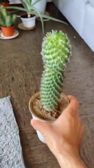 Translation: When he doesn’t call you back for 4 days but makes a 100 videos about you.