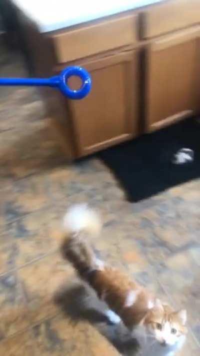 Roy is officially hooked on bubbles