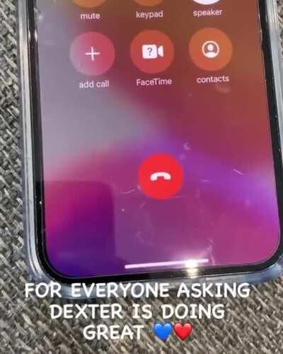 Famous dex update‼️