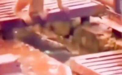 No monke left behind