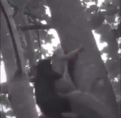 An eye for an eye makes the whole world blind! 🔄