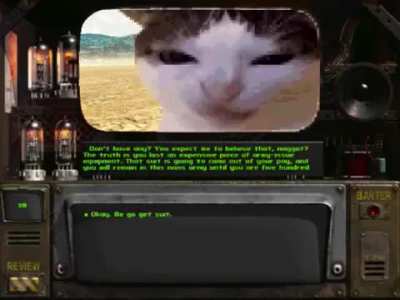 Cat drill sergeant (found on funnyjunk)