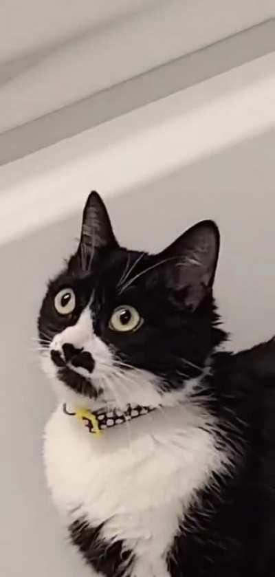 What am I doing in here