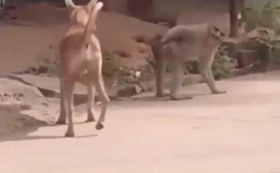 Опыт, сын ошибок трудных