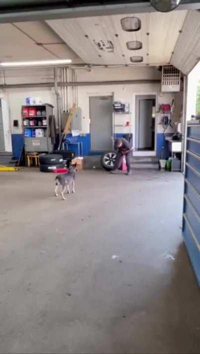 Shouldn't have been standing there.