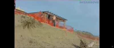 WCGW doing a somersault in a tree root