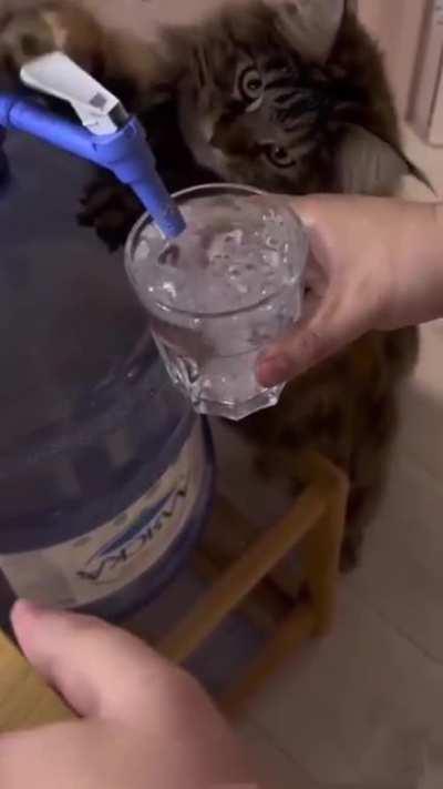 Excuse me please help with the water thank you 🙏