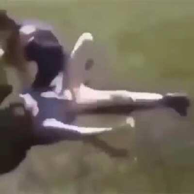 Mentalidad de tiburón, no desaprovecha oportunidades