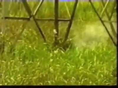 JN ou Documento Trololó?