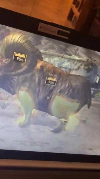 First time using vats in this play through and this keeps happening. Anyone know a fix? Haven’t seen anyone else have this issue.