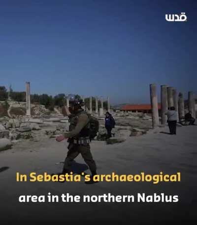 This week in Palestine