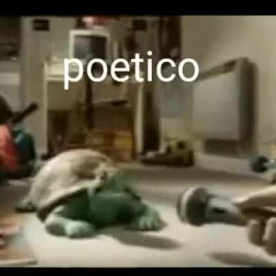 O melhor eh o bts kkkkkk