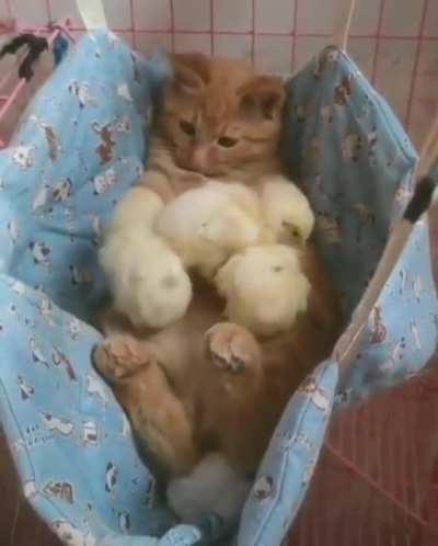 My new job is babysitting